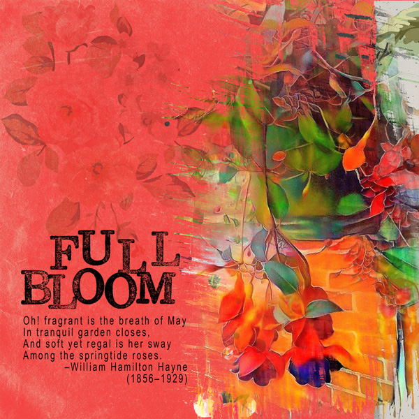Full Bloom
