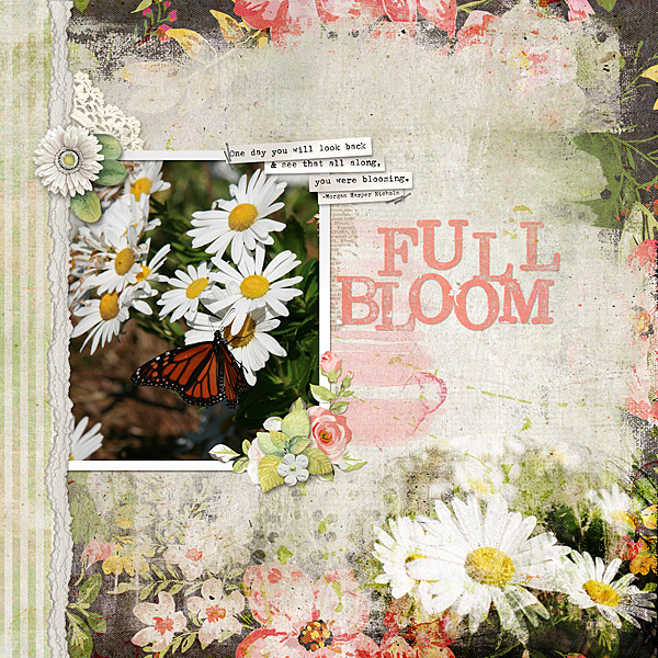 Full Bloom