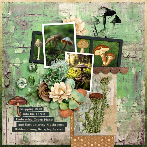 fungus-among-us-carol-w.jpg
