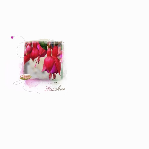 Fuschia