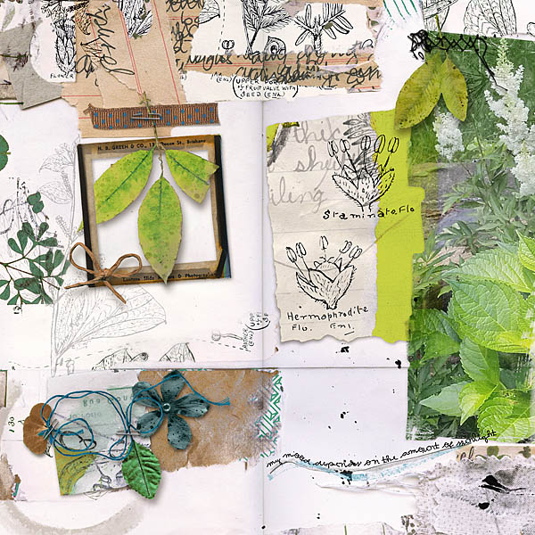 Garden Notebook