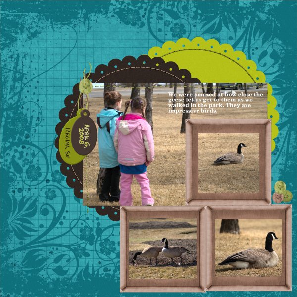 Geese