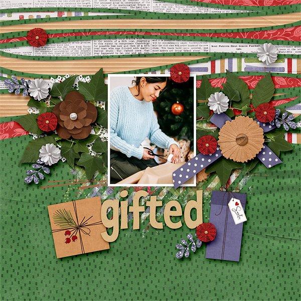 GiftedPexels.com photos