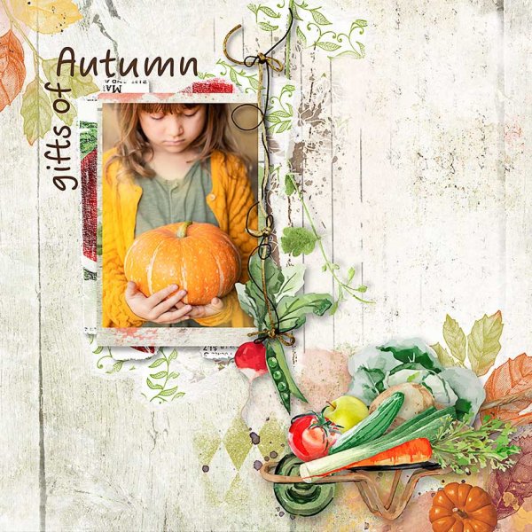 Gifts-of-Autumn.jpg