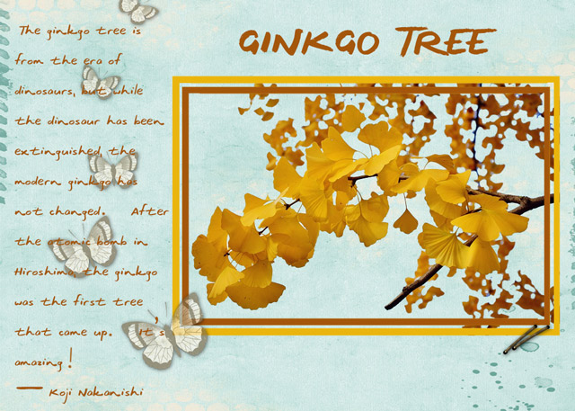 GINGKO TREE