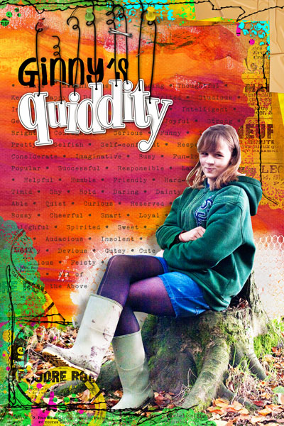 Ginny's Quiddity