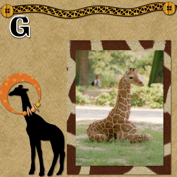 Giraffe