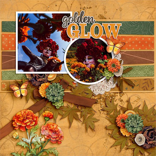 Golden Glow
