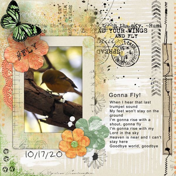 Gonna Fly - Designer Challenge 10-20