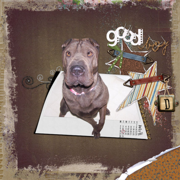 Good Boy