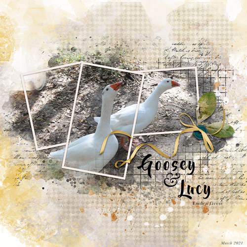 Goosey & Luc7
