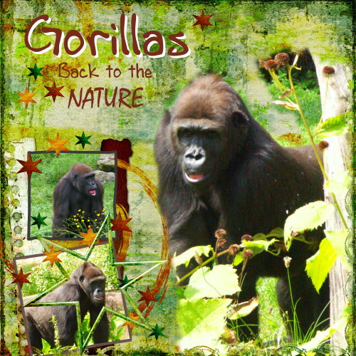 Gorillas