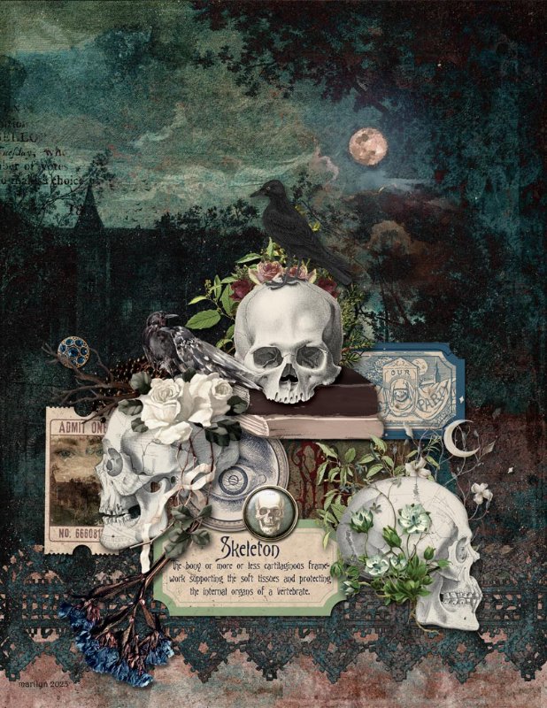 Goth Glam - Mystical Skulls