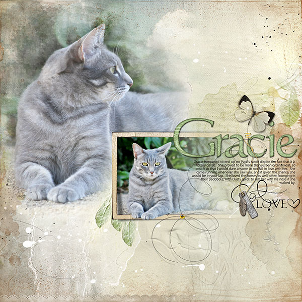 Gracie Love