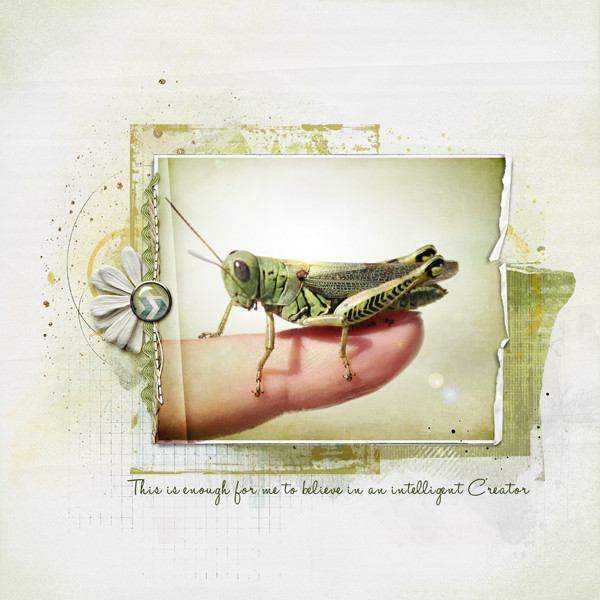 Grasshopper