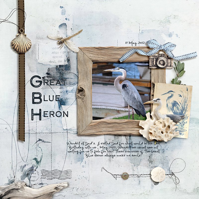 Great Blue Heron
