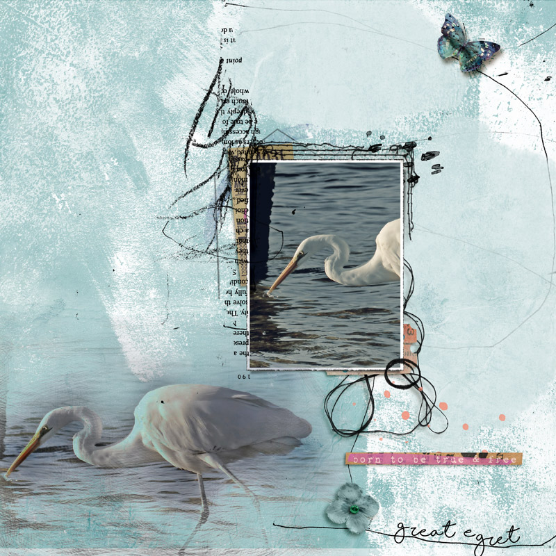 Great Egret