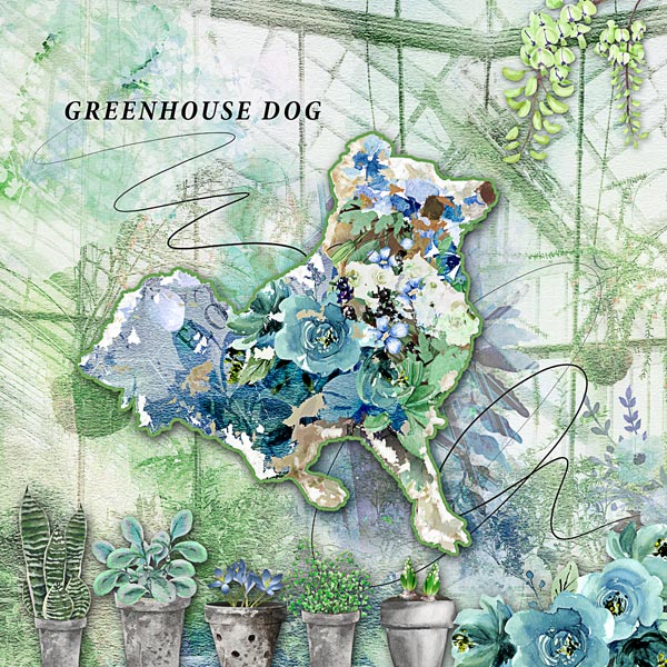 Greenhouse Dog