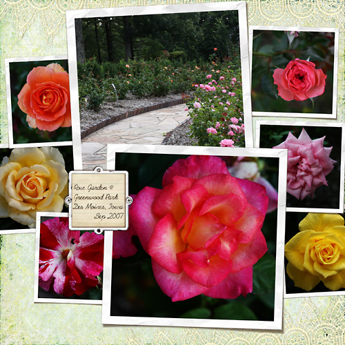 Greenwood Park Rose Garden