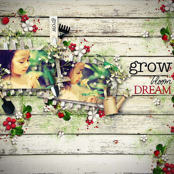 grow... bloom... dream...