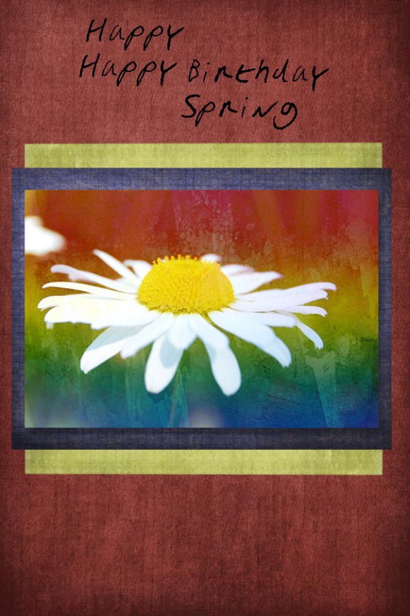 Happy Bithday Happy Spring