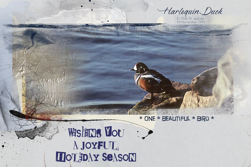 Harlequin Holiday Card