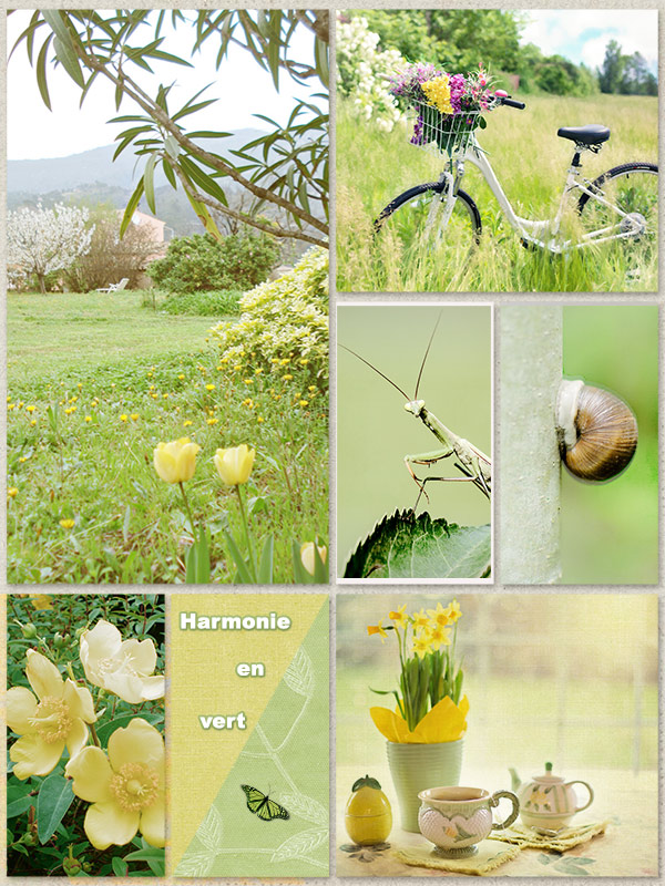 Harmonie en vert