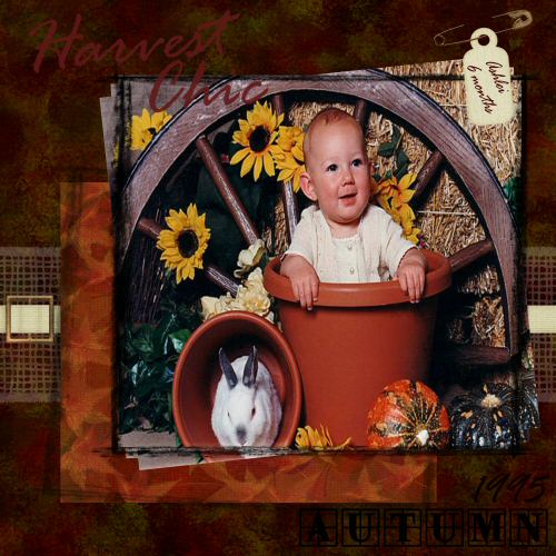 Harvest Chic
