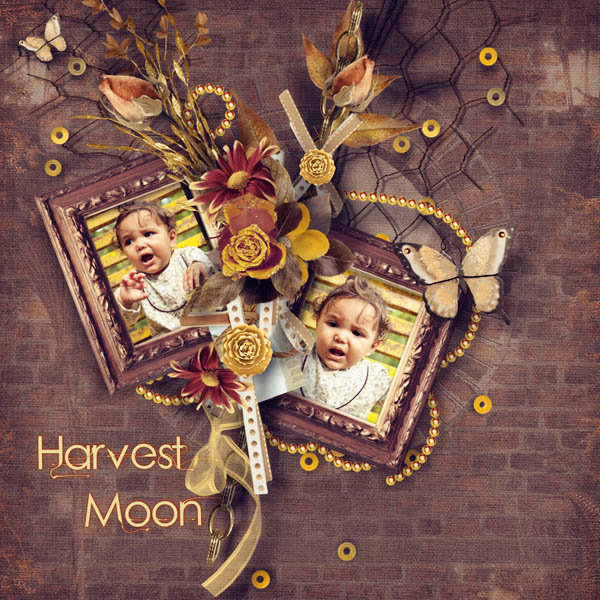 Harvest Moon - RAK for priss