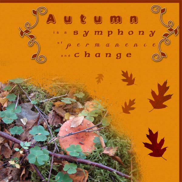 Harvest of memories- Autumn is ....