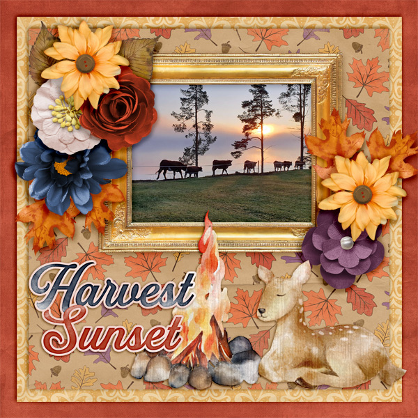 Harvest-sunset.jpg