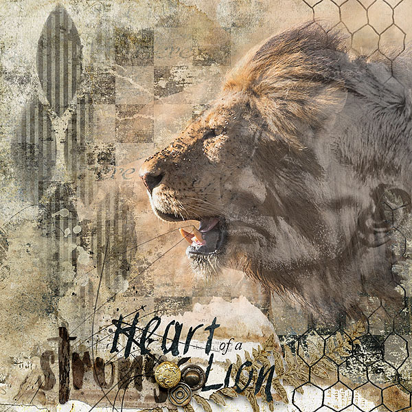 Heart of a Lion