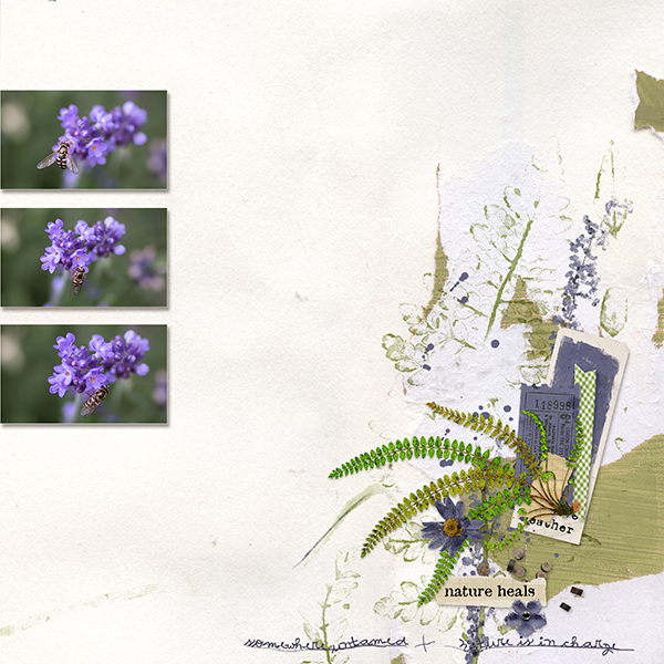 Heathland