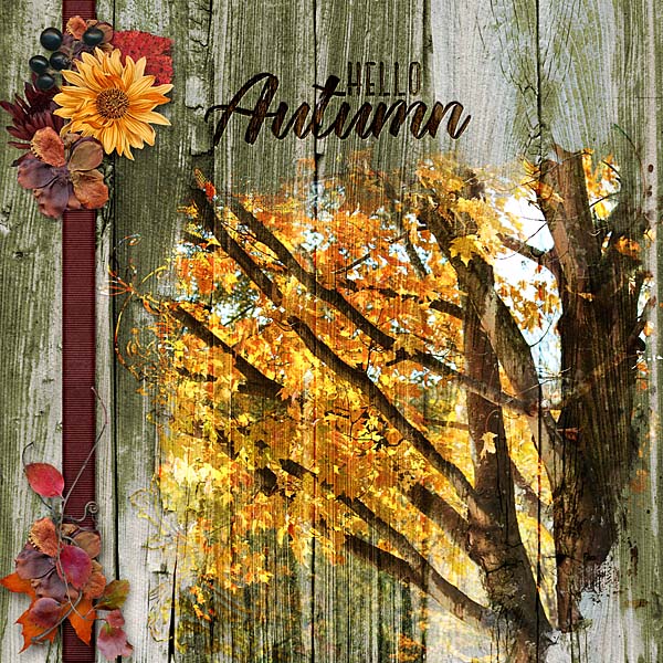 Hello Autumn