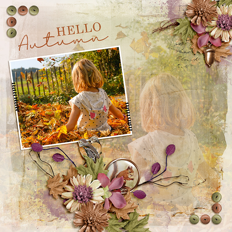 Hello Autumn!