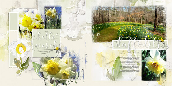 Hello March Daffodils