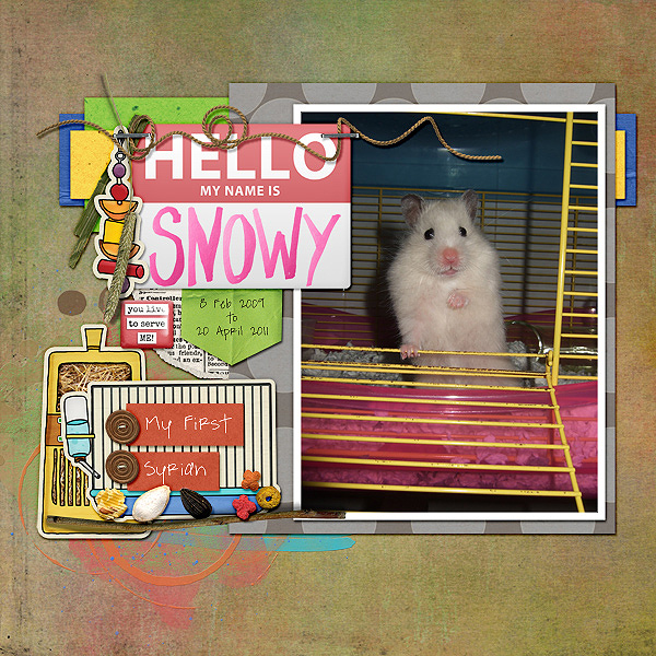 Hello, My Name is Snowy