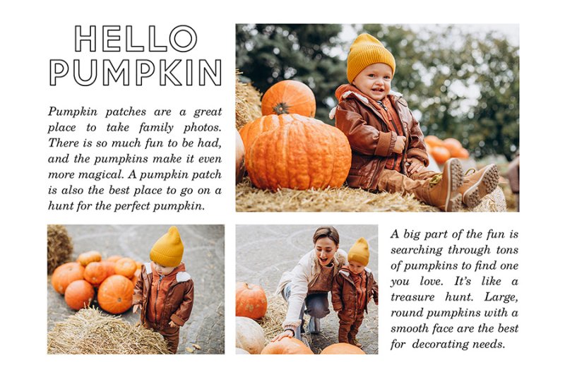 Hello pumpkin