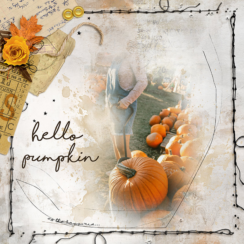 Hello Pumpkins