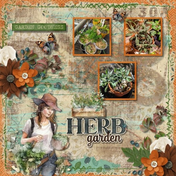 Herbs Galore