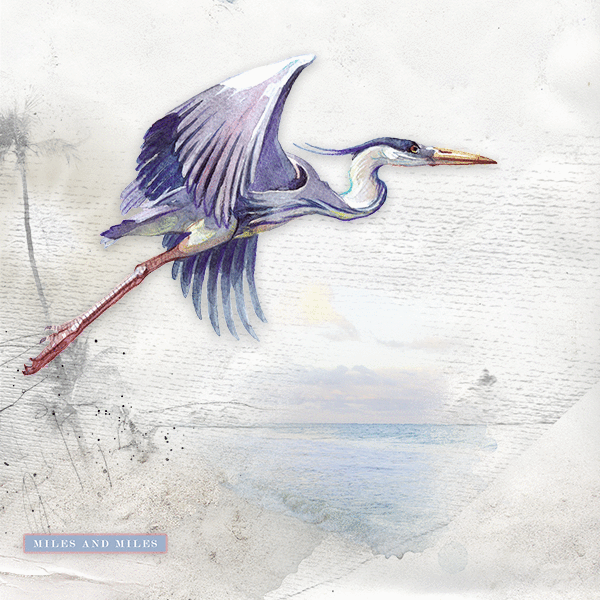 Heron ~ white space challenge