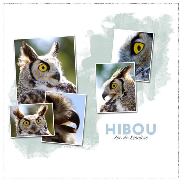 Hibou