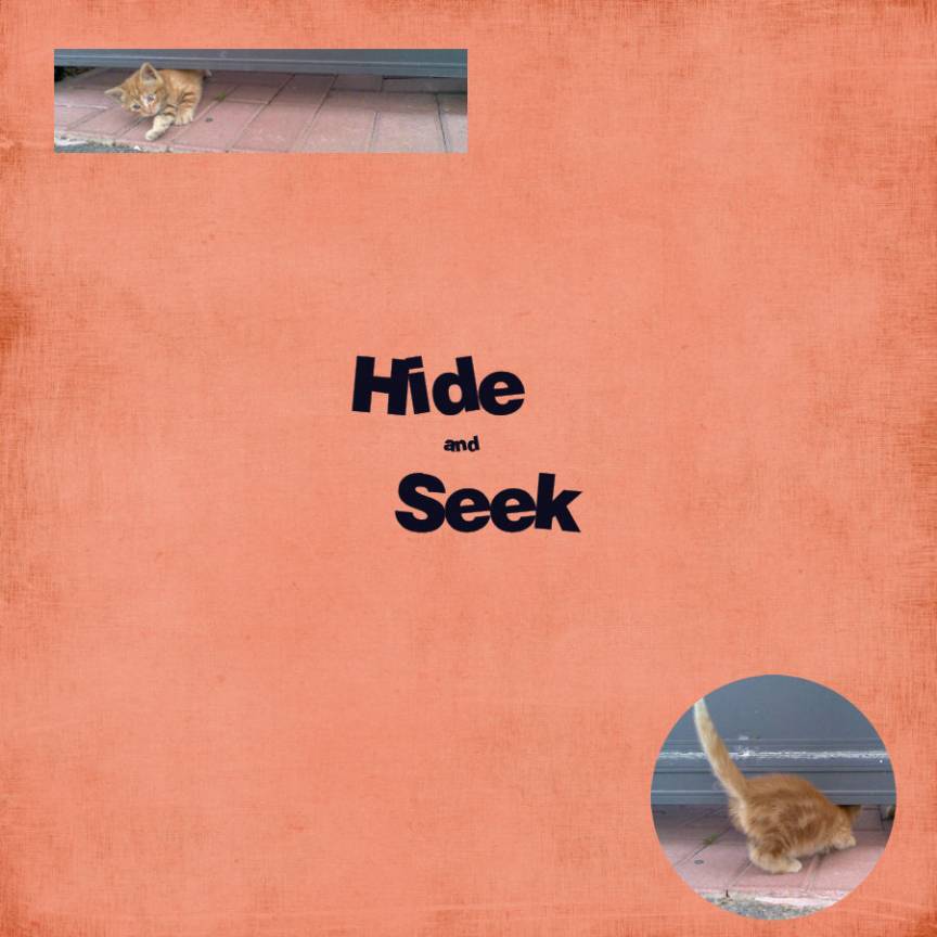 Hide and Seek