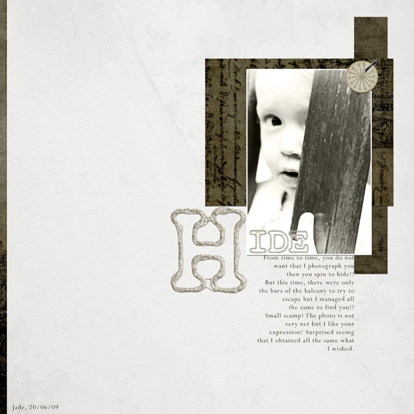 Hide