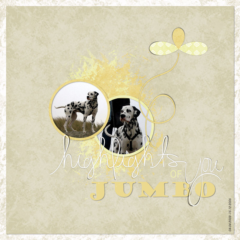 Highligts of Jumbo