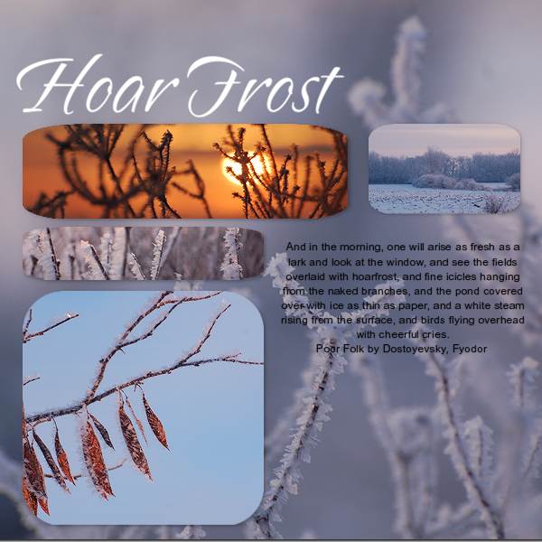 Hoarfrost