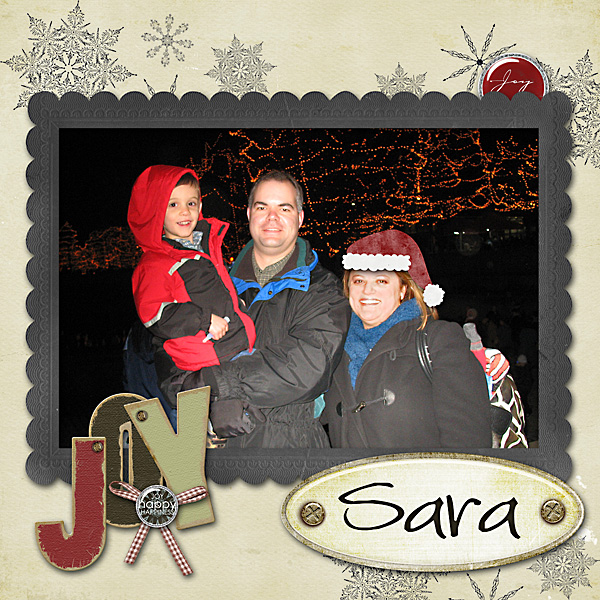 Holiday Lights 2009