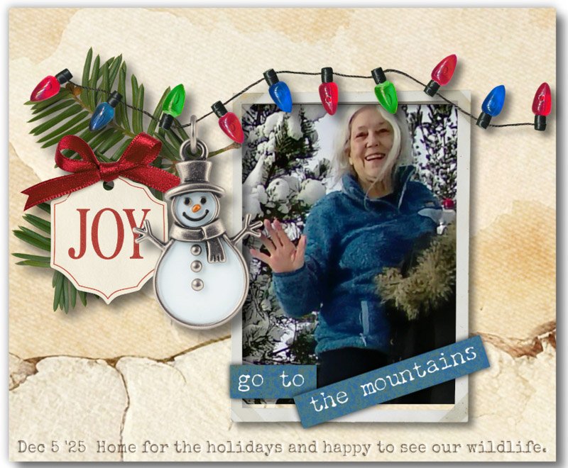 Home for the Holidays