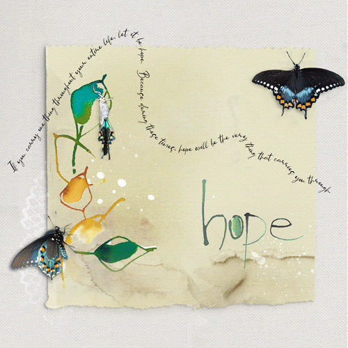 HOPE/chall 7