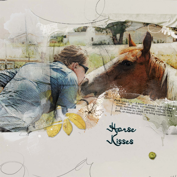 Horse Kisses